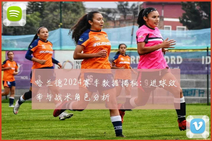 哈兰德2024赛季数据揭秘：进球效率与战术角色分析