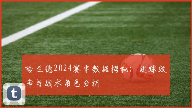 哈兰德2024赛季数据揭秘：进球效率与战术角色分析